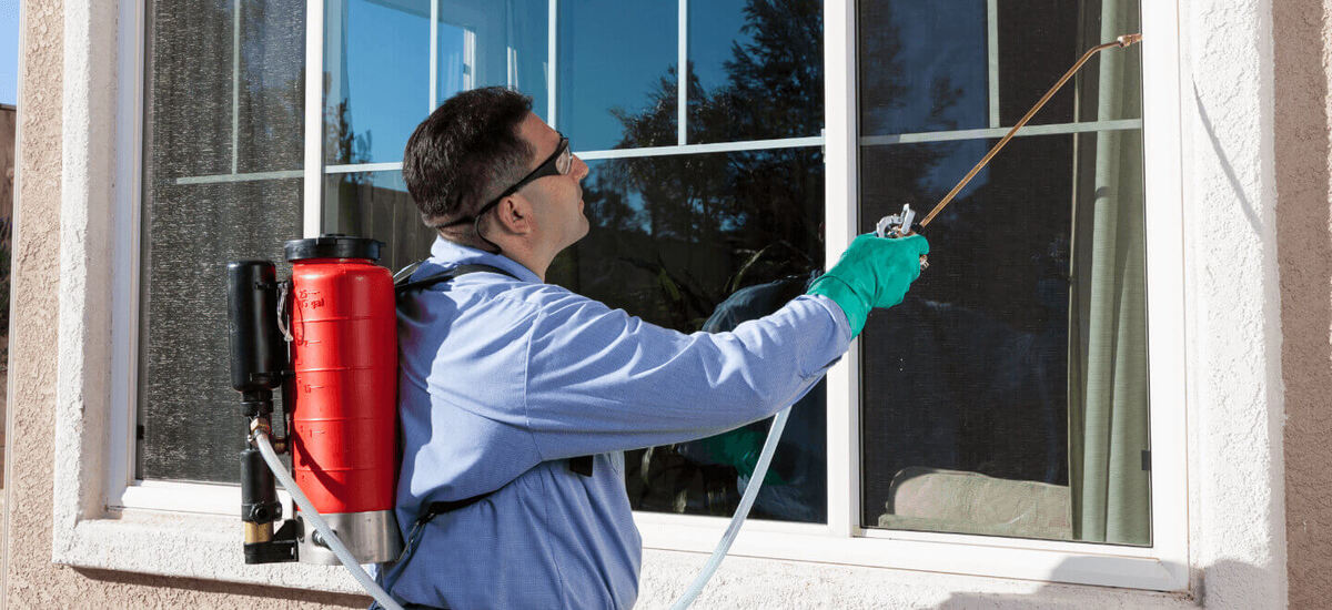 Best Pest Control Companies in Portland, Oregon